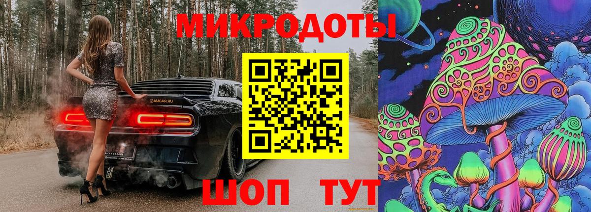 Галлюциногенные грибы Psilocybe Тихорецк