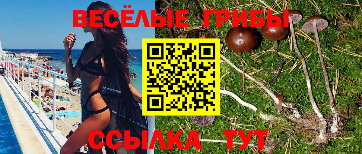 Тихорецк  Псилоцибиновые грибы GOLDEN TEACHER  Вход с VPN 